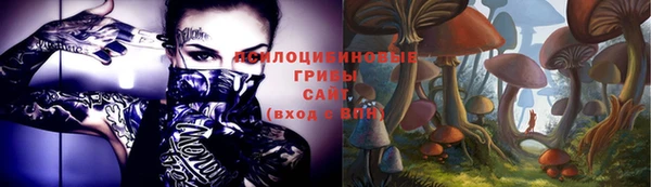 спайс Алзамай