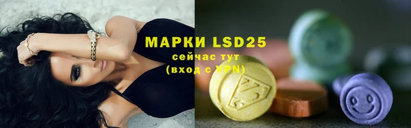 спайс Алзамай