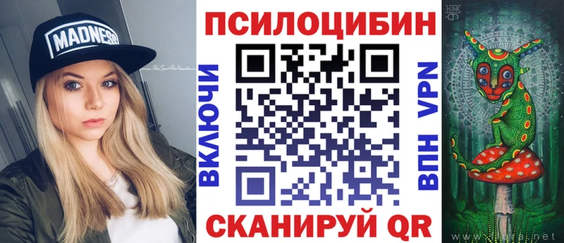 Купить закладки  Кущёвская  Псилоцибиновые грибы мицелий 
